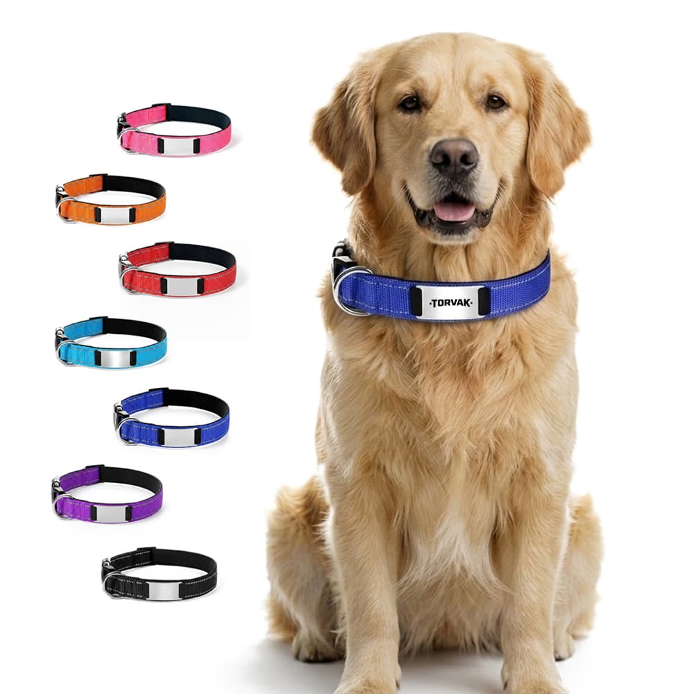 Reflective Stitched Nylon Dog Collar - Custom Wholesale PET ITEMS GENERAL | Alogo Solutions